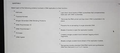 Solved Question Pe C Match Each Of The Following Proteins Chegg