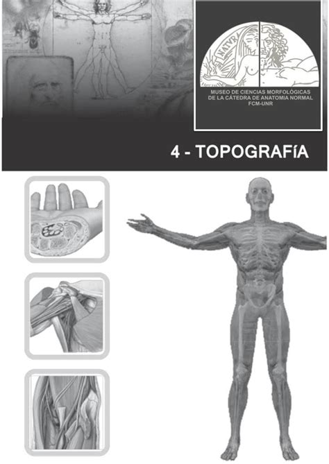 Apuntes Topograf A Topograf A De Miembro Superior Regi N Axilar La