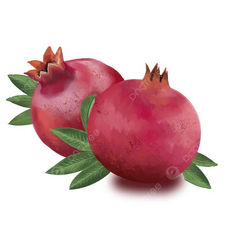 Red Pomegranate Fruit Red Red Pomegranate Fruit Png Transparent