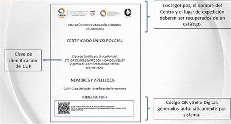 Certificado Nico Policial En M Xico