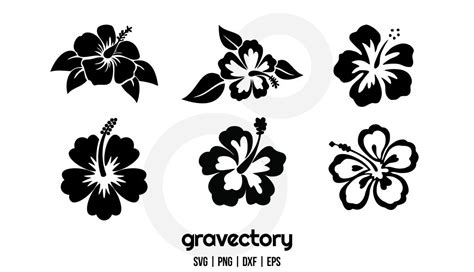 Hibiscus Flower Svg Best Flower Site