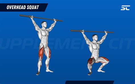 How To Do Squats With Proper Form A Step By Step Guide Supplement