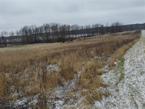 PILNIE Działka nad jeziorem Hołny linia brzegowa 70 metrów Ogrodniki