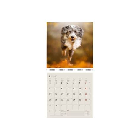 Kalender Helma X Cm Honden Kopen Bij Klavertje Vier