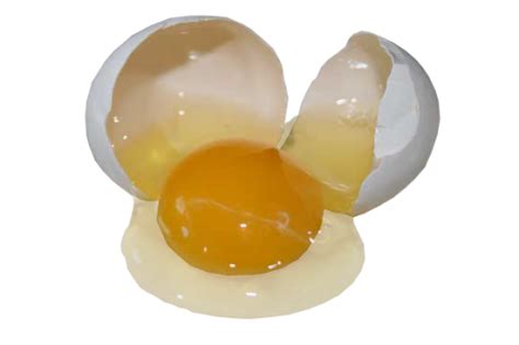 Transparent Egg Tumblr