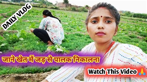 आज हमने पहली बार अपने खेत में निकाली पालक साग Viral Trending Vlog Youtubevideo Youtube