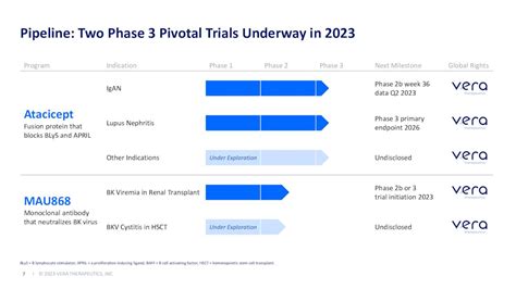 Vera Therapeutics Stock: Behind The Tailspin (NASDAQ:VERA) | Seeking Alpha