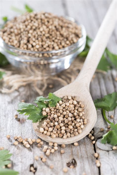 What Are the Different Coriander Substitutes?