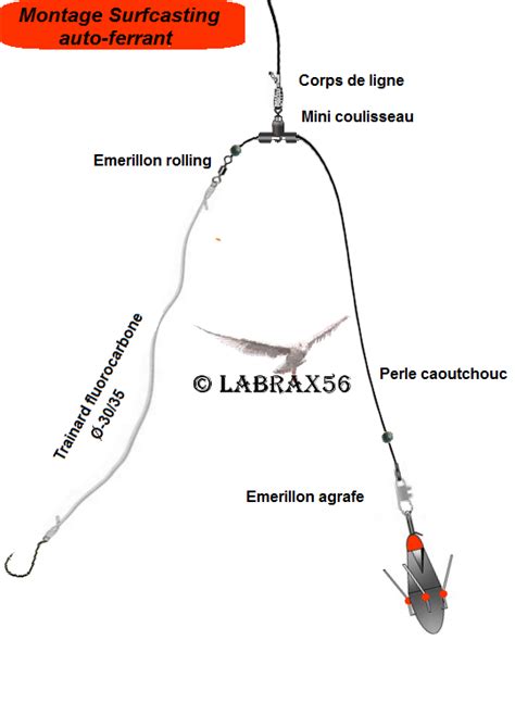 Montages surfcasting LABRAX56 Pêche surf Conseils de pêche Nœuds