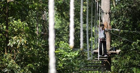 Skytrex Adventure Langkawi Malaysia Klook Singapore