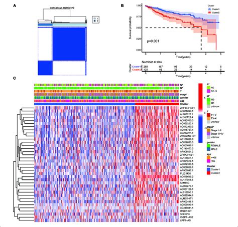 The Type Of Prognostic M6a Related Lncrnas That Vary In Prognosis And