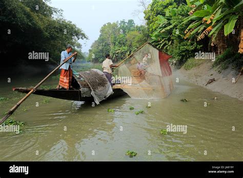 Nutria Tradicional La Pesca Con Nutrias Entrenados En El Distrito