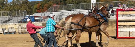 Fairfield County Fair Tickets Josey Mallory