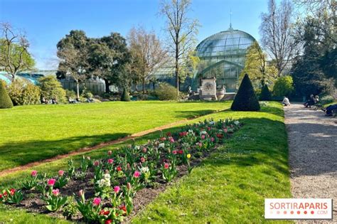 The Jardin Des Serres D Auteuil An Exotic Haven Of Peace With Plants