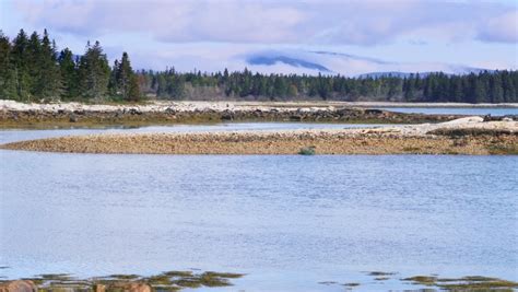 Rocky Coastline at Acadia National Park, Maine image - Free stock photo ...