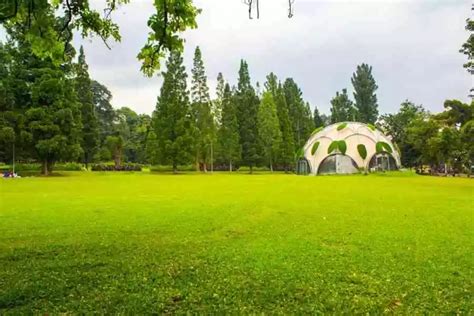 Kebun Raya Bogor Rayakan Hari Jadi Dari Rumah Kaca Anggrek Pilar Id