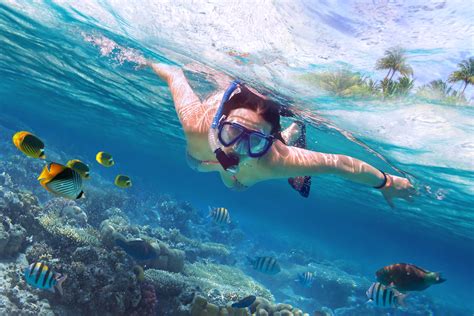 These Are The Best Places To Snorkel In Thailand