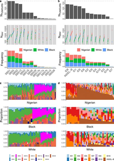 Mutational Signatures In Breast Cancer Tumors Across Different Ethnic