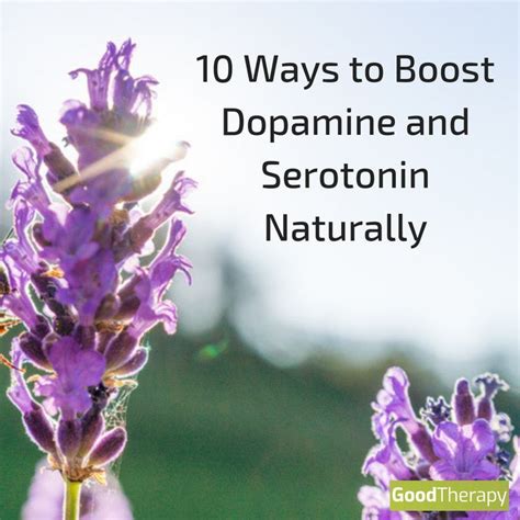 Improve Dopamine Increase Dopamine Naturally Brain Health Body