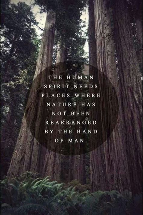 Nature Wisdom Quotes Quotesgram