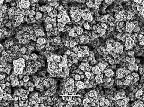 Scanning Electron Microscope View Of The Aluminum Surface Exposed To