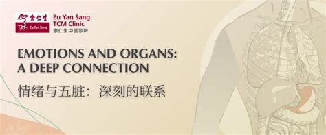 Emotions and Organs: A Deep Connection - Eu Yang Sang TCM Clinic