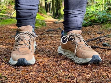 Best Hiking Shoes Of 2023 — Treeline Review