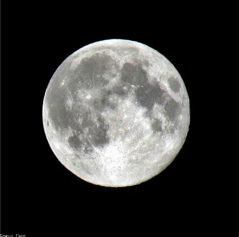 Full Moon In Black And White Photograph By Danielle Parent Pixels