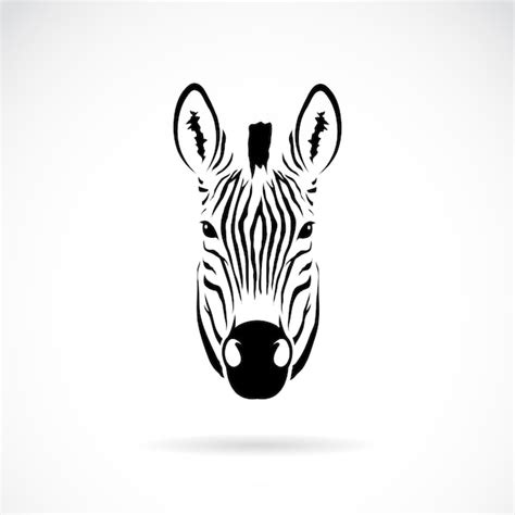 Premium Vector | Vector image of an zebra head on white background