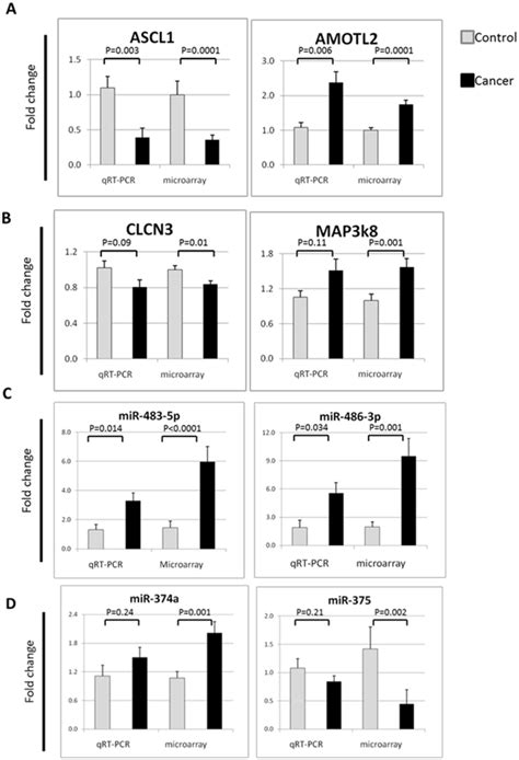 Real Time Rt Pcr Validation A Two Highly Significant Differentially