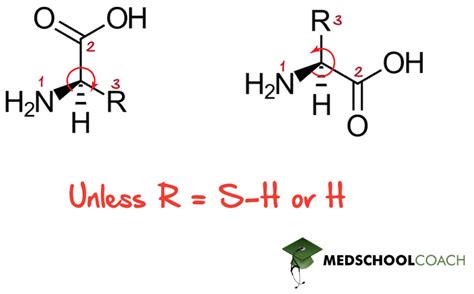 Amino Acid Configuration And Structure Mcat Biochemistry Medschoolcoach