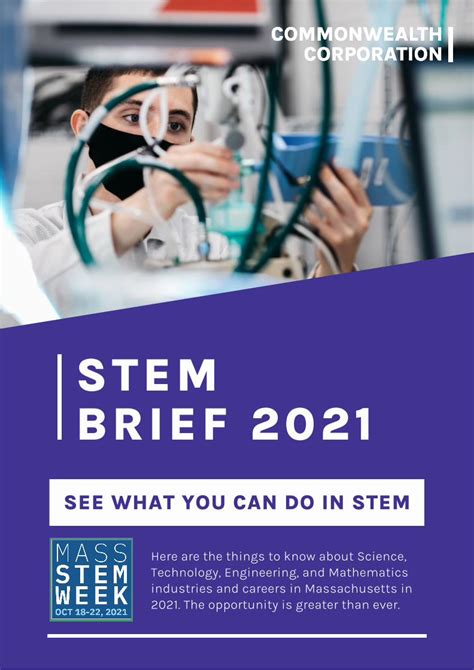 Pdf Stem Brief 2021 Dokumentips