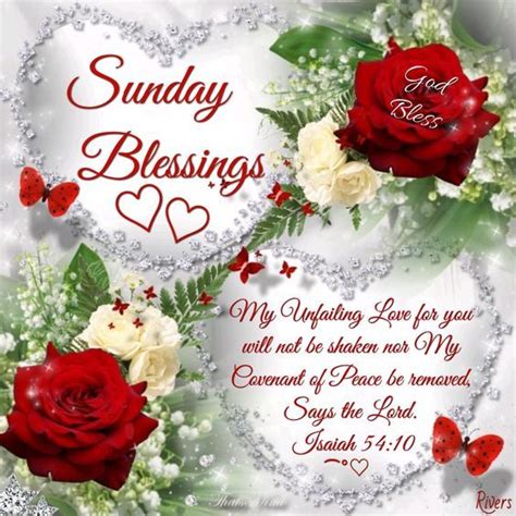 Rose Sunday Blessings Pictures Photos And Images For Facebook Tumblr