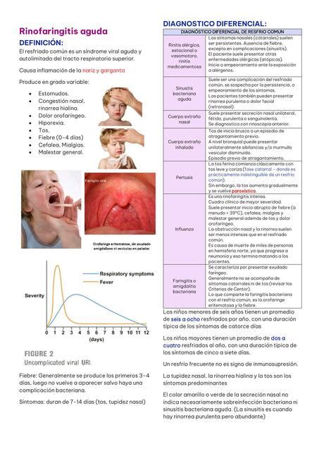 Rinofaringitis Aguda En Pediatr A Katy Flores Udocz