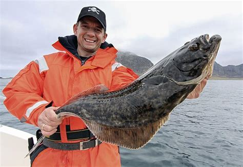 15 Types Of Flatfish To Eat In The Ocean The Ultimate