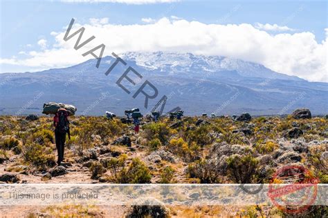 Mount Kilimanjaro deaths - Laba Africa Expeditions