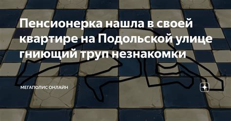Пенсионерка нашла в своей квартире на Подольской улице гниющий труп ...