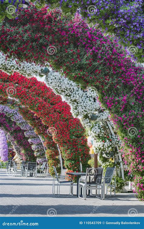 Still Life Fragments Of The Landscape Design Of The Flower Alley With