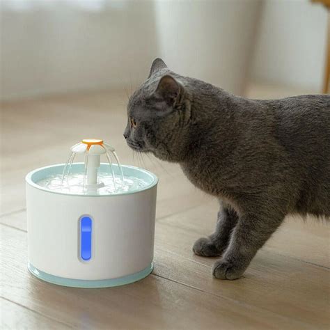 Pet Water Fountain Ishopzee Cat Water Fountain Pet Water Fountain