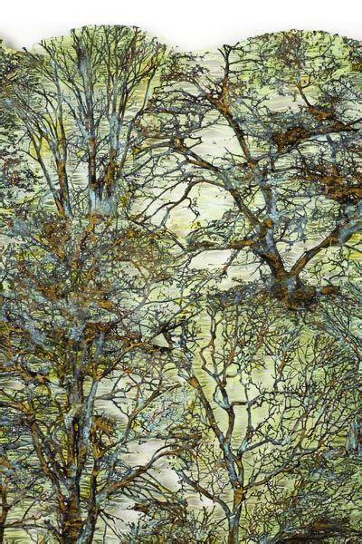 Lesley Richmond Nature Artists Fiber Art Quilts Art Quilts