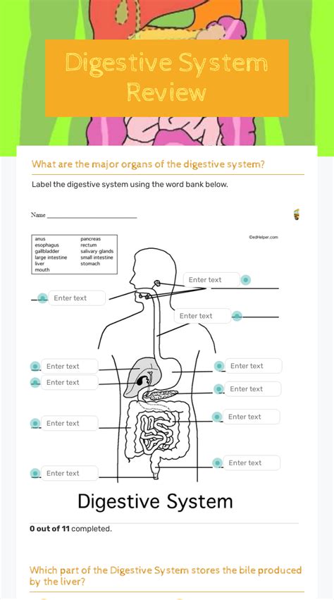 Digestive System Label Worksheet Printable Word Searches