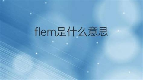 Flem是什么意思 Flem的翻译、读音、例句、中文解释 下午有课