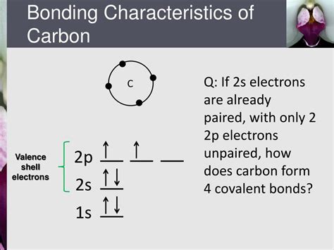 Ppt Chapter 1 Structure And Bonding Powerpoint Presentation Free