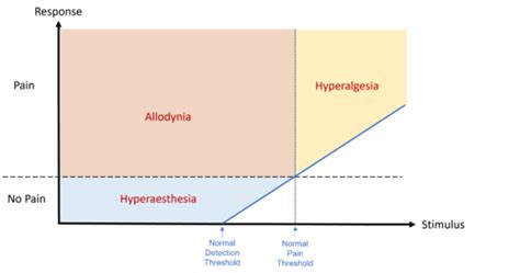 Allodynia And Alloknesis Wikimsk