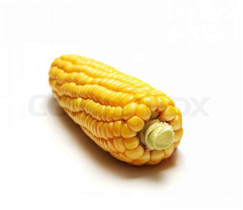 Corn Isolated Stock Image Colourbox