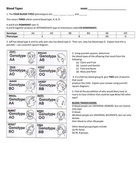 Blood Types Worksheet