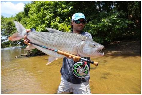 Oliver White Fly Fishing The Venturing Angler