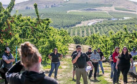 Northwest Growers Take Annual Columbia Gorge Preharvest Cherry Tour