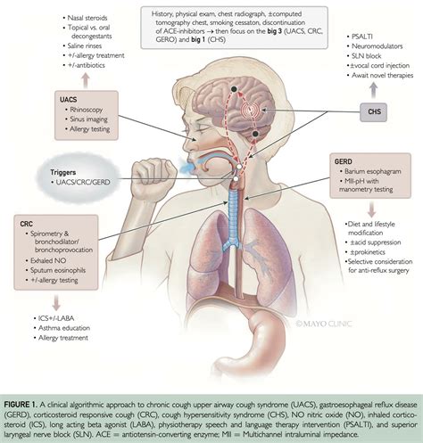 Medclub On Twitter Neumolog A Medicinainterna Algoritmo Cl Nico De