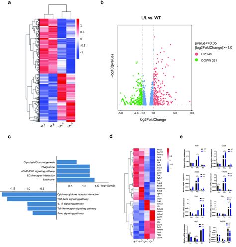 Genome Wide Analysis Of SET Mediated Transcriptional Regulation In